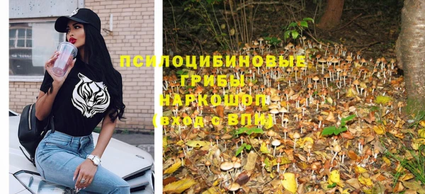 дмт Аркадак